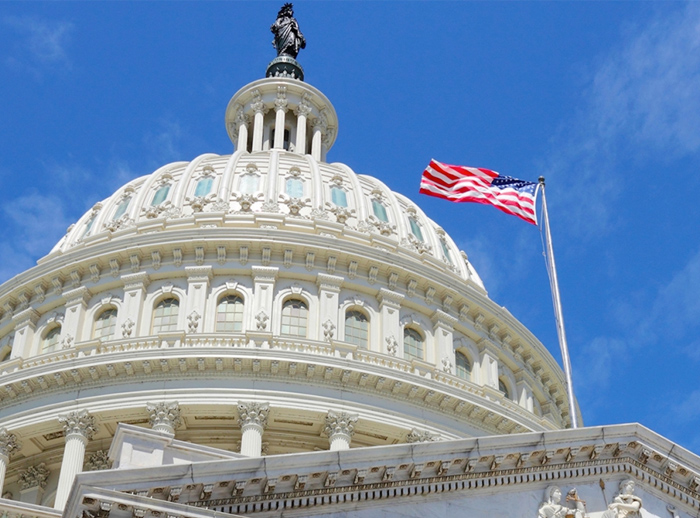 Legislation & Policy Making