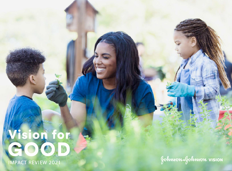 Vision for Good Impact Review